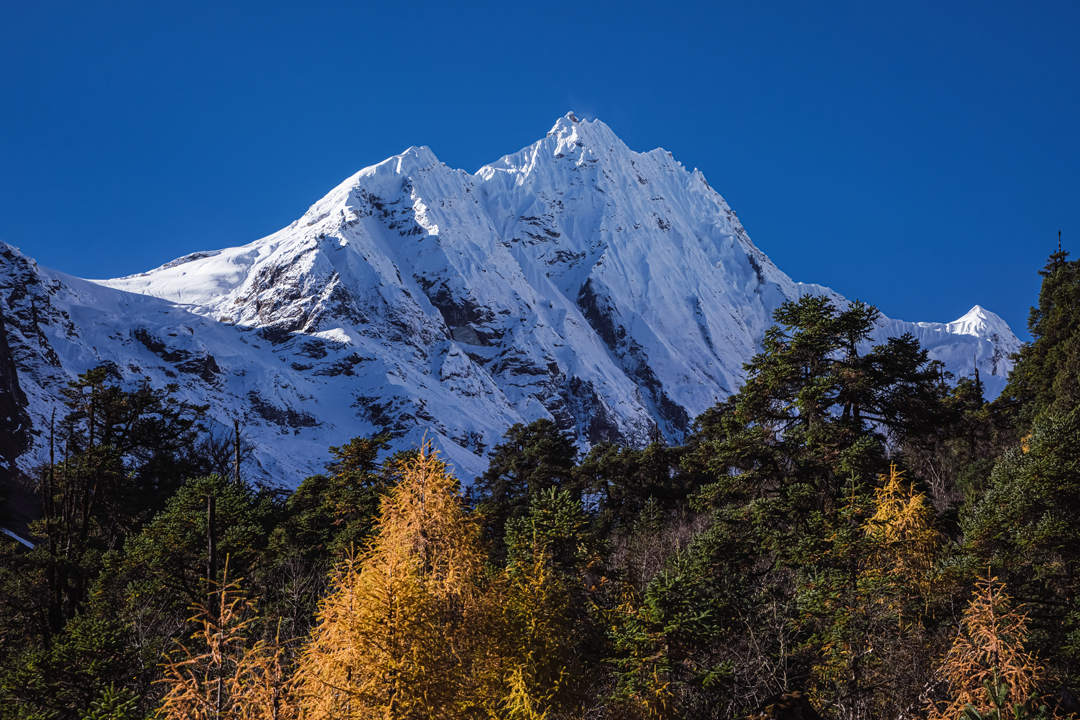 Hiking Bees Activity: Explore the Best Hiking Trails in Nepal | Hiking Bees